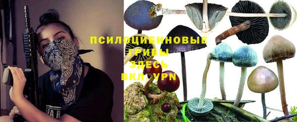 соль ск Аркадак