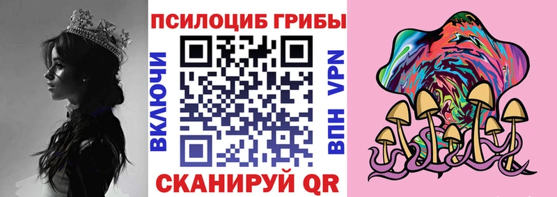 Псилоцибиновые грибы Magic Shrooms  купить  цена  Сусуман 